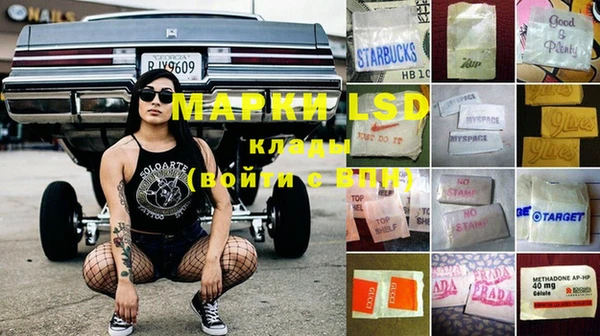 стафф Пролетарск